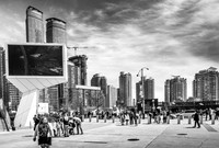 _MG_5319