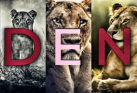 Den150dpi