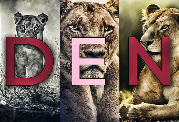 Den150dpi